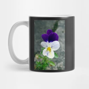 The Wild Pansy Mug